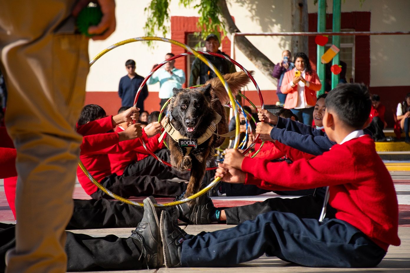 
    
        014_Educación_Seguridad en mi escuela
    
    