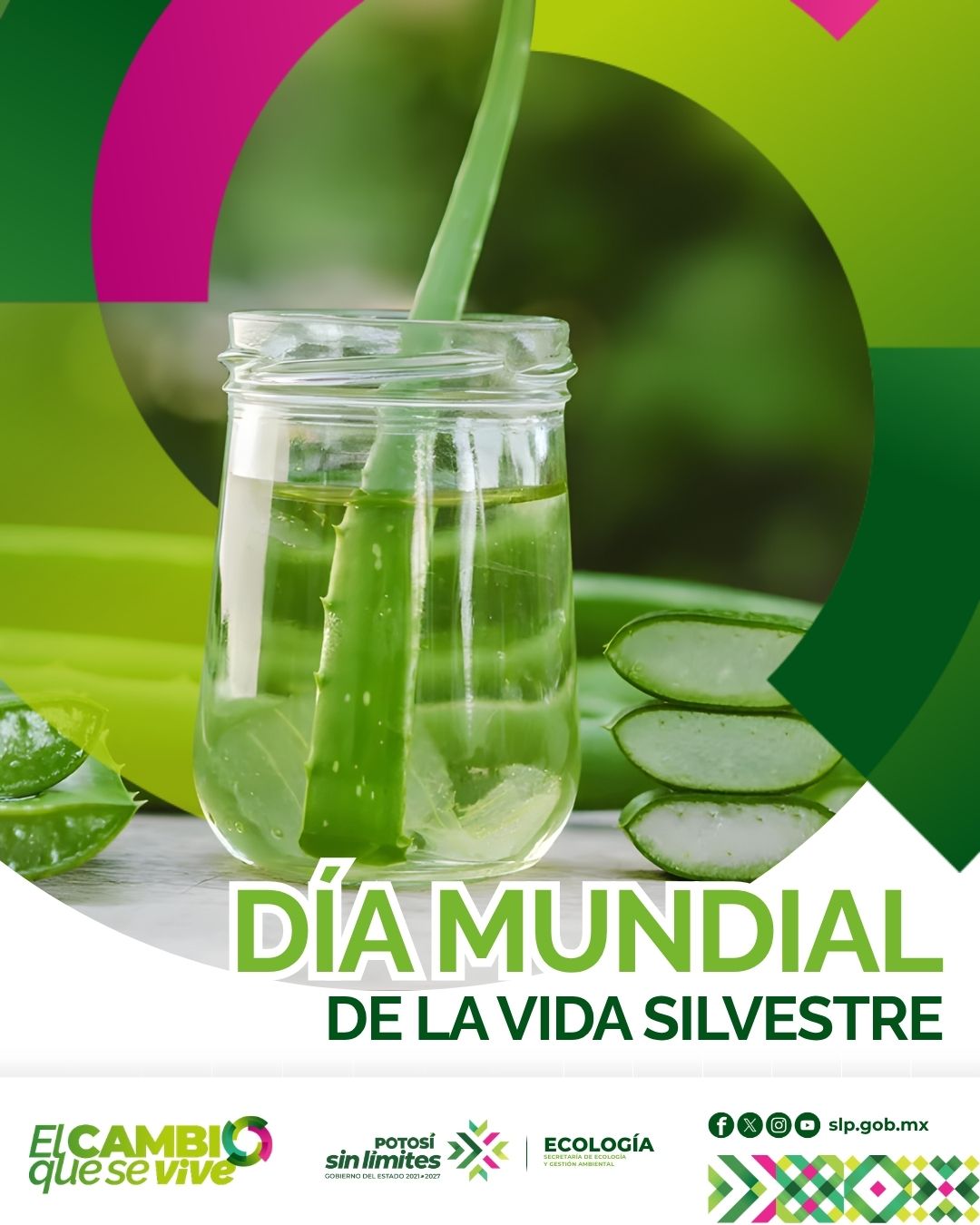 
                         
                            Imagen 03-de-marzojpg.jpeg
                         
                         