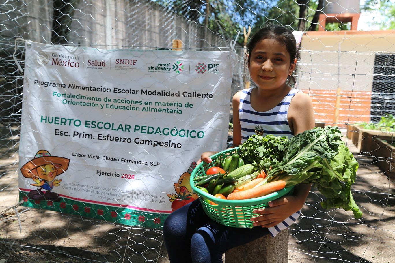 
    
        030_Inclusión_Huertos escolares en Ciudad Fernández
    
    