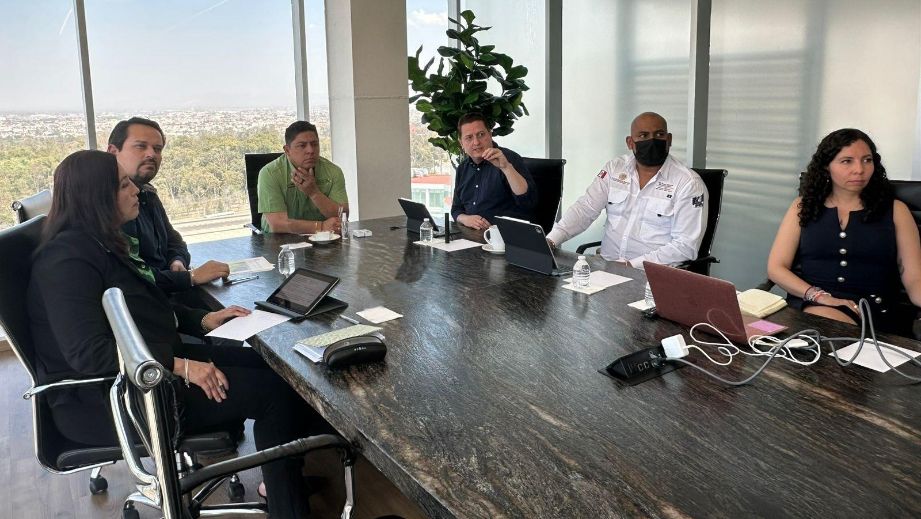 RICARDO GALLARDO RESPALDA PROYECTO NACIONAL DE TREN DE PASAJEROS