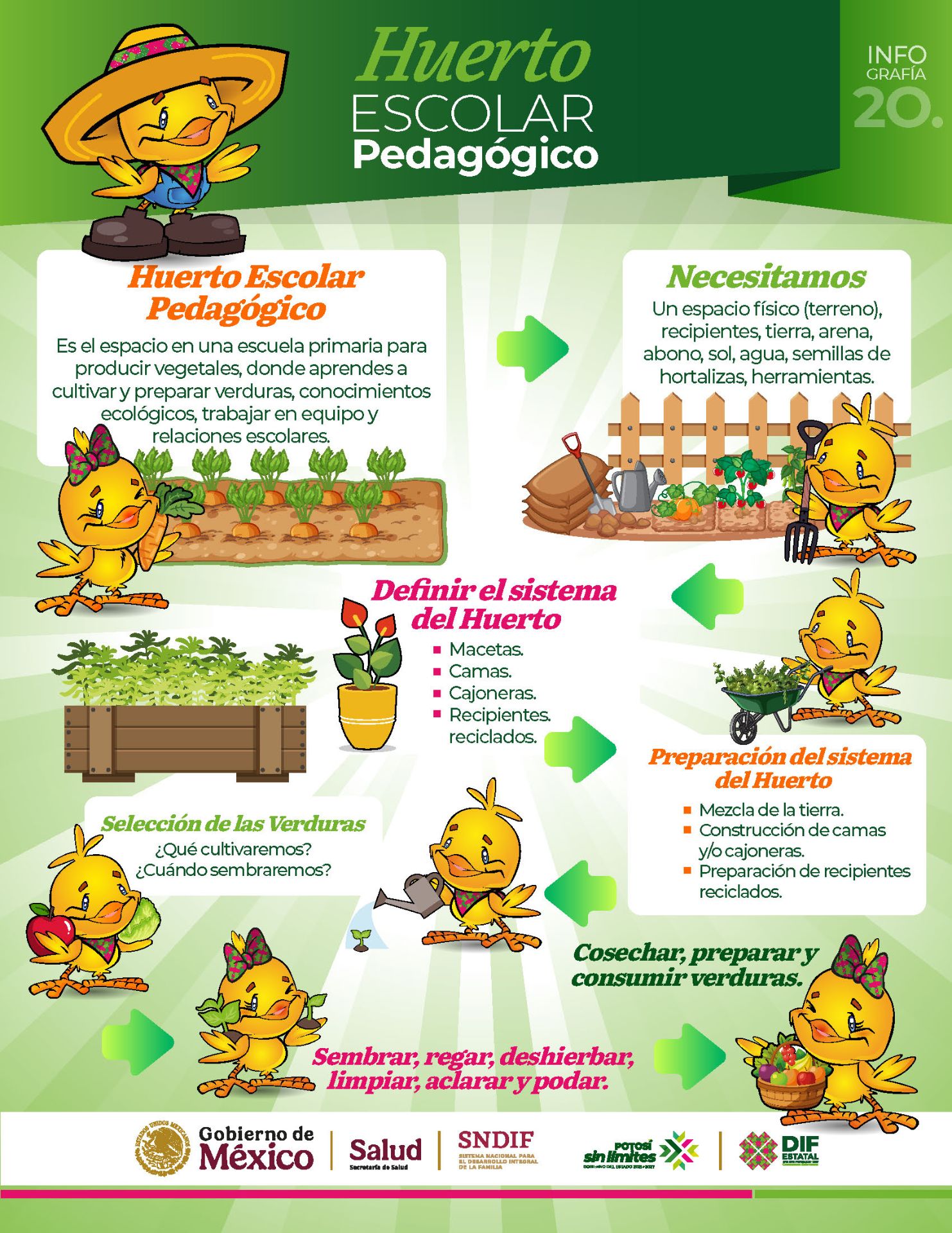 
    
        20-infografia-huertos-2026.jpeg IMG
    
    