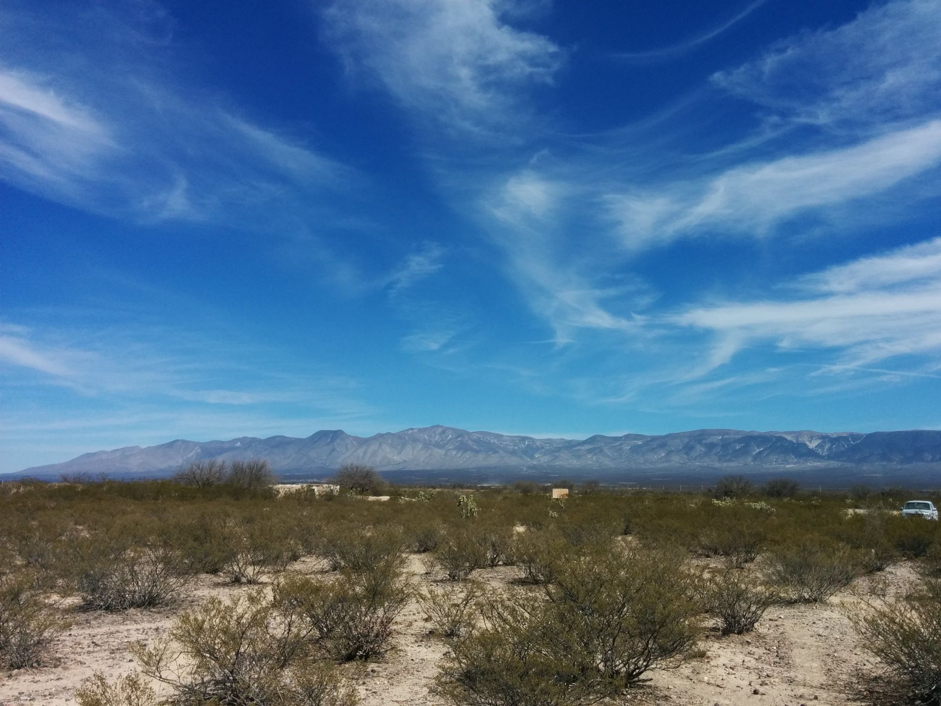 
                         
                            Imagen 20160212_135509.jpeg
                         
                         