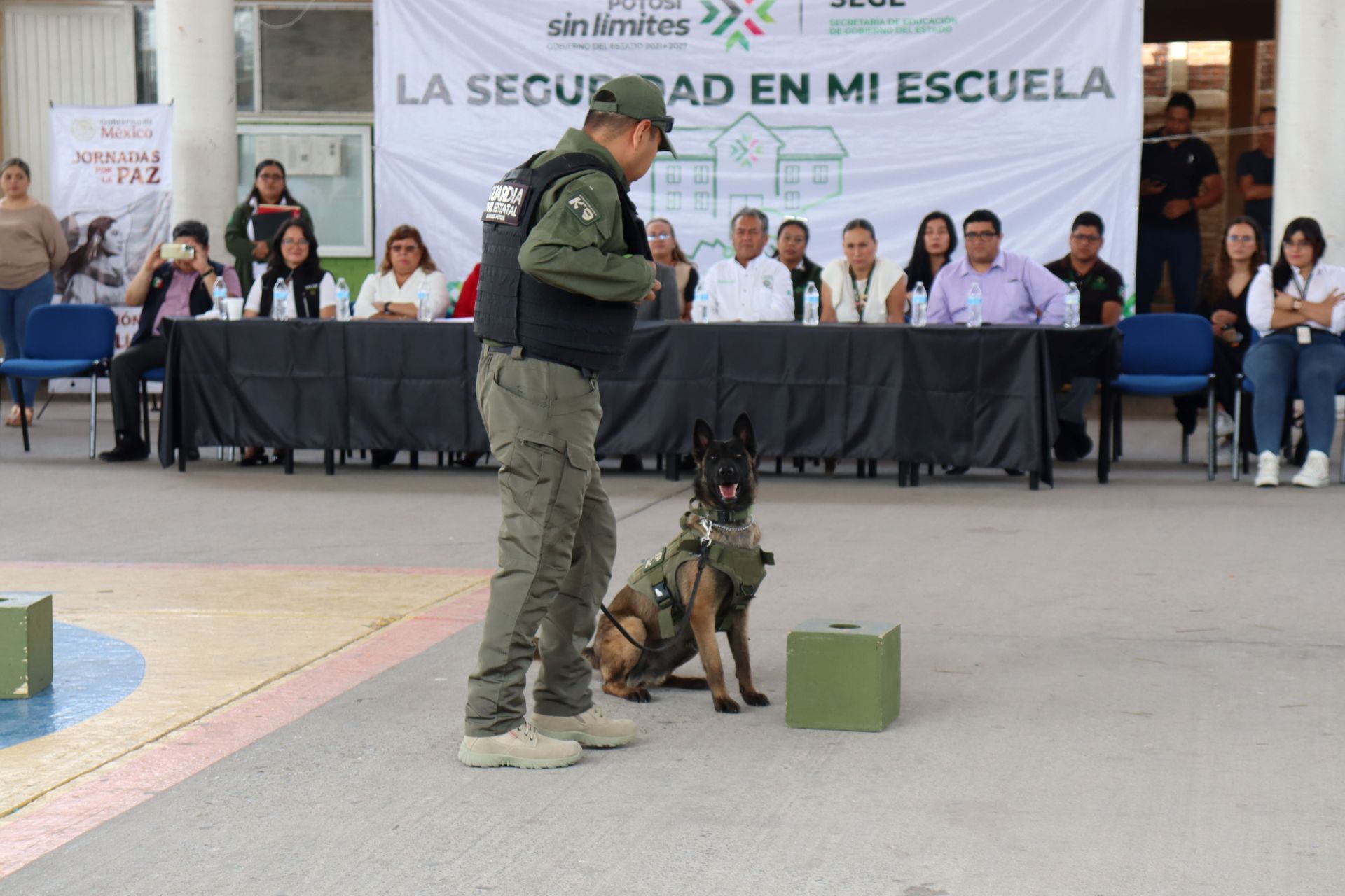 
    
        2.04.03 Combate a la delincuencia
    
    