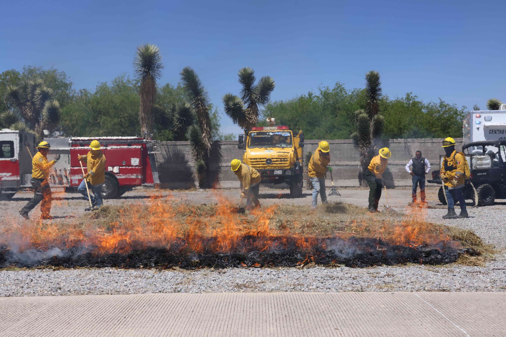 
    
        2.05.02 Protección civil
    
    