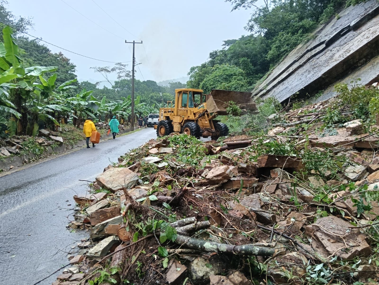 
    
        2542b097-280a-4039-97ef-38126a6e8bf6.jpeg IMG
    
    