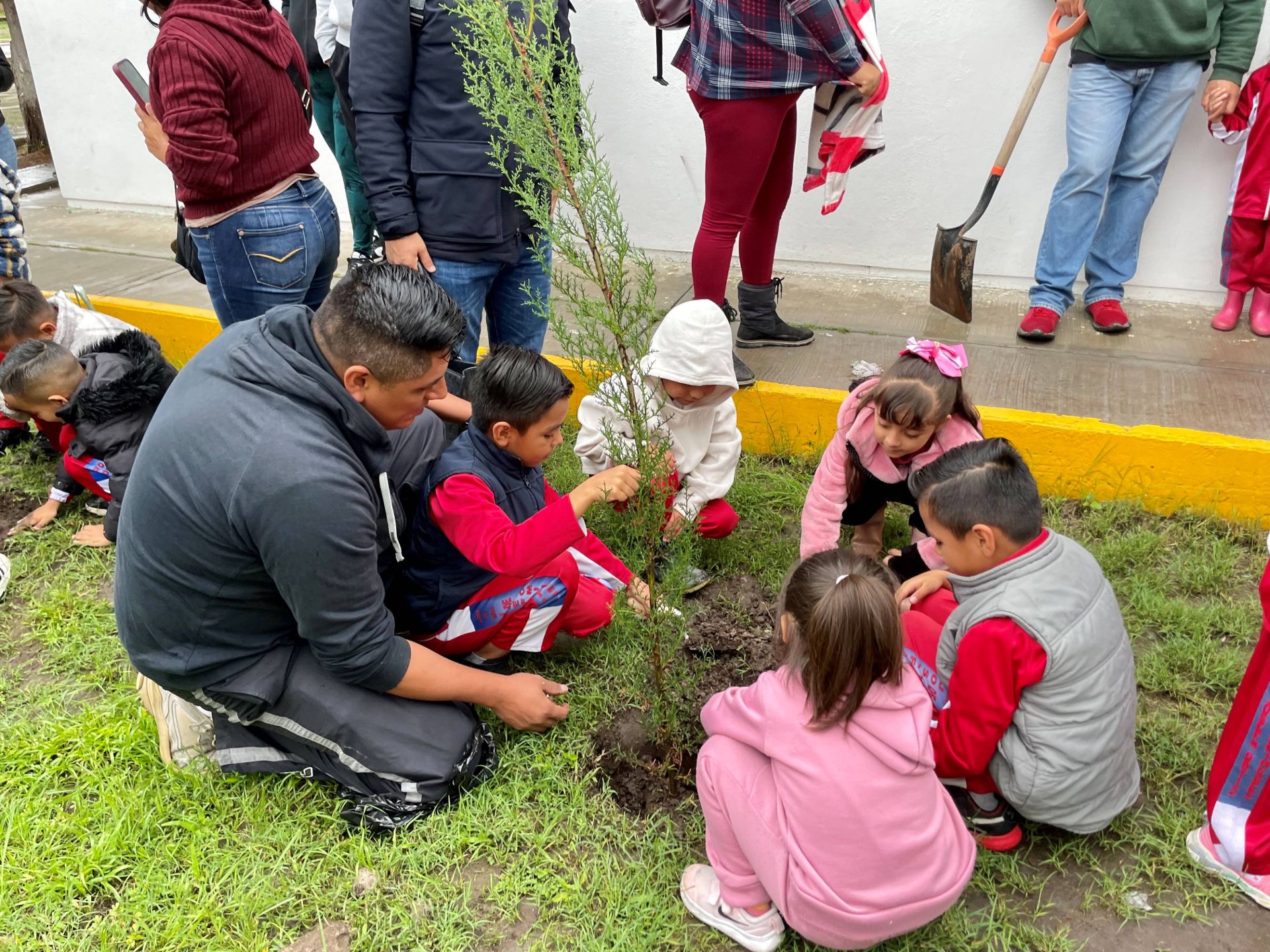 
    
        3.06.01 Desarrollo ambiental
    
    