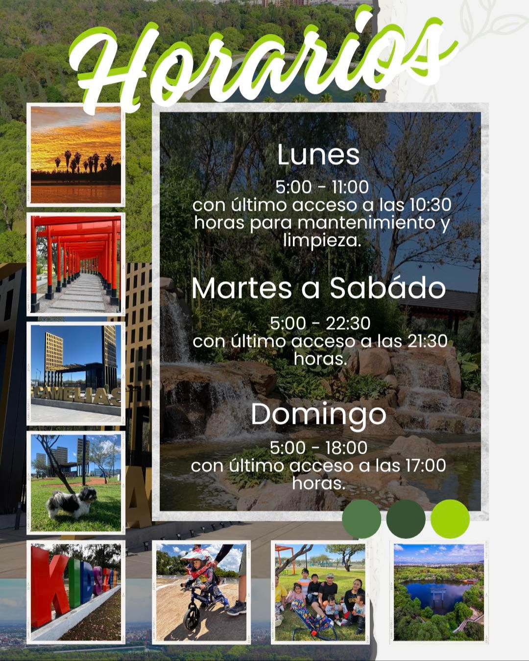 
                         
                            Imagen 492083419_1072109118296689_6966784798114263642_n.jpeg
                         
                         