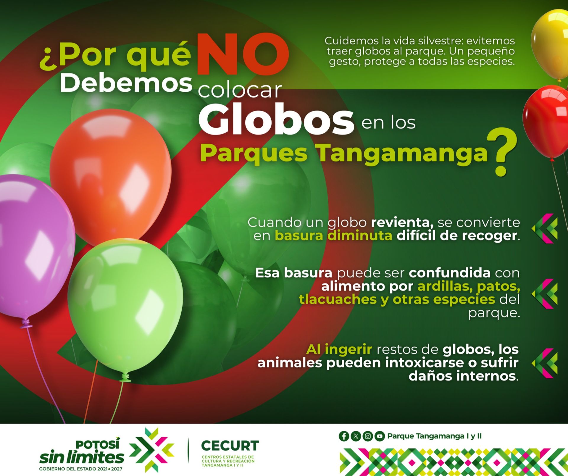 
                         
                            Imagen 554101427_1198371295670470_3559006252758080908_n_uB4SpS3.jpeg
                         
                         