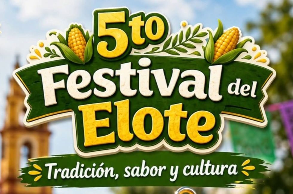 https://d3dac9gdq8t83x.cloudfront.net/media/5tofestival_190726.jpeg