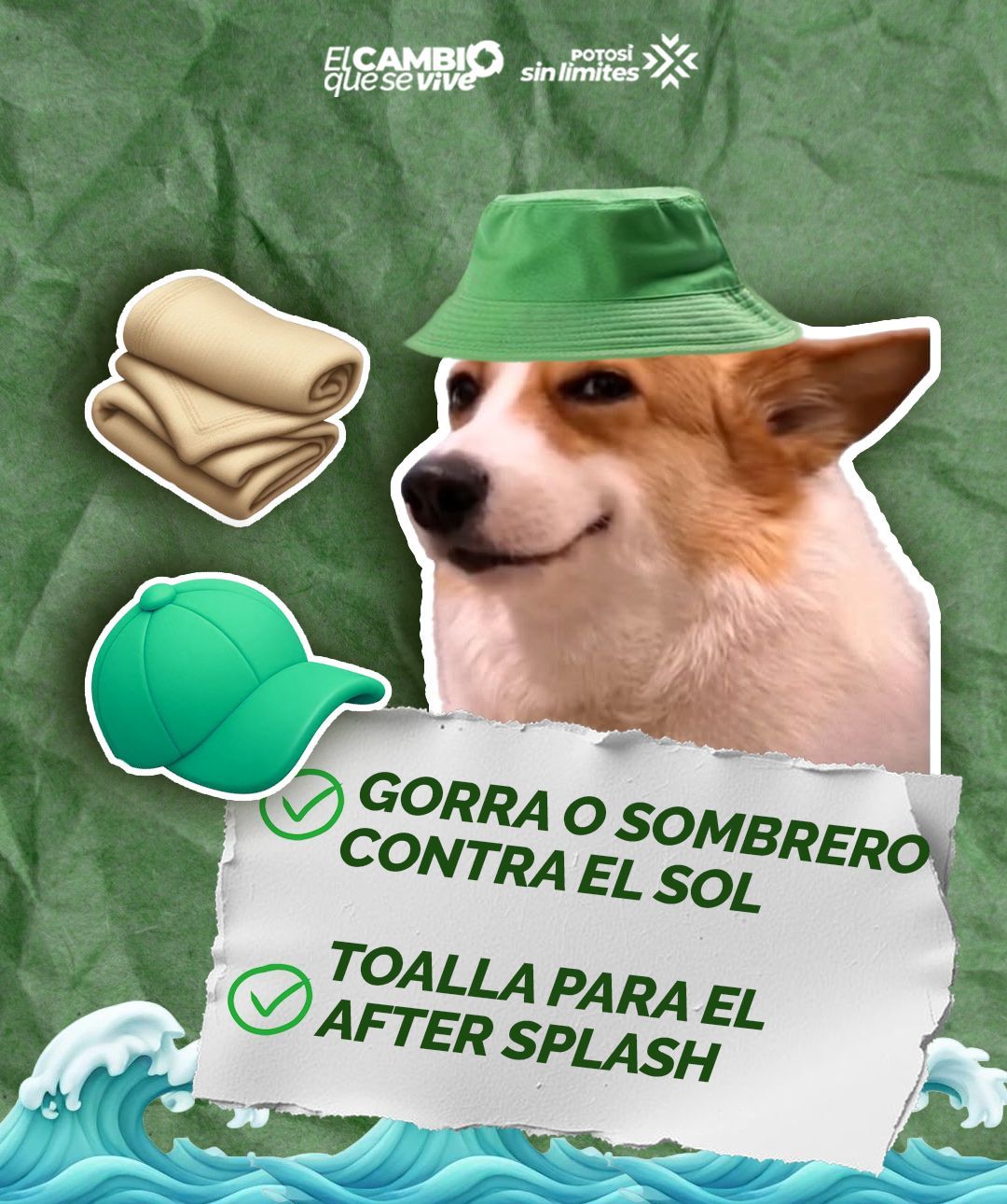 
                         
                            Imagen 658787442_1500617038100174_6663885971253898998_n.jpeg
                         
                         