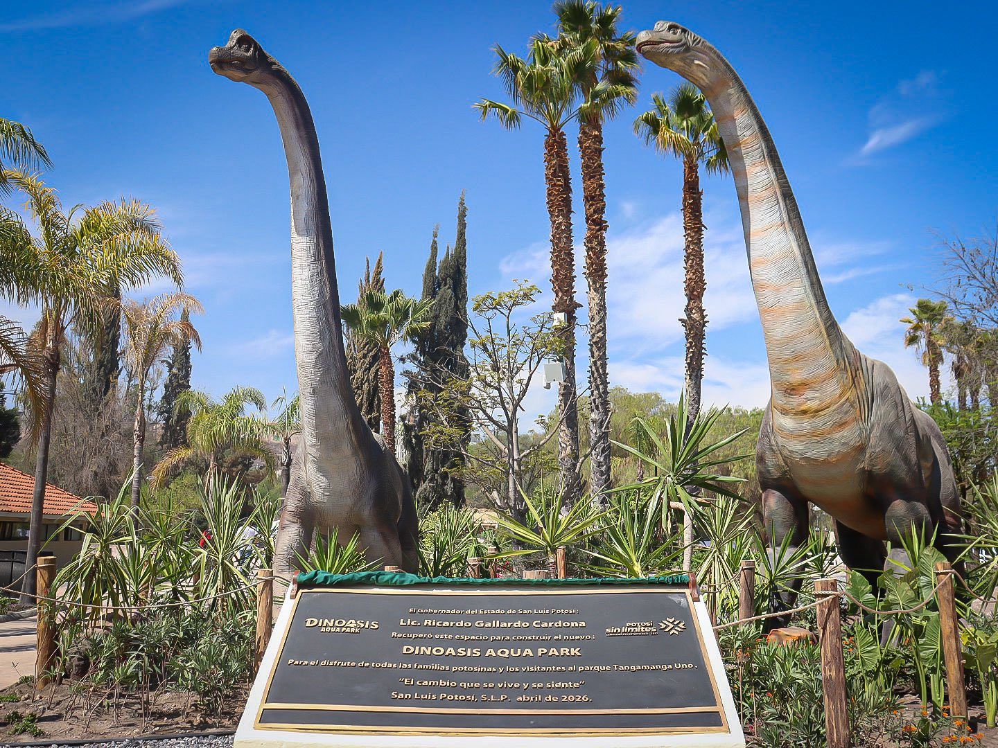 
    
        659806518_1354941130013485_8928367100993119151_n.jpeg IMG
    
    