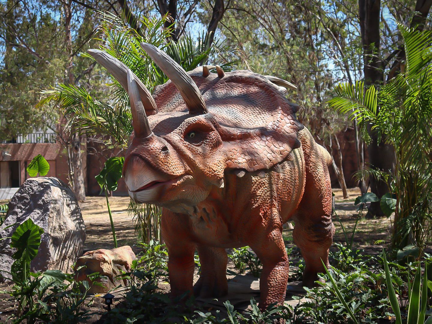 
    
        662277023_1354941393346792_8196203913068987391_n.jpeg IMG
    
    