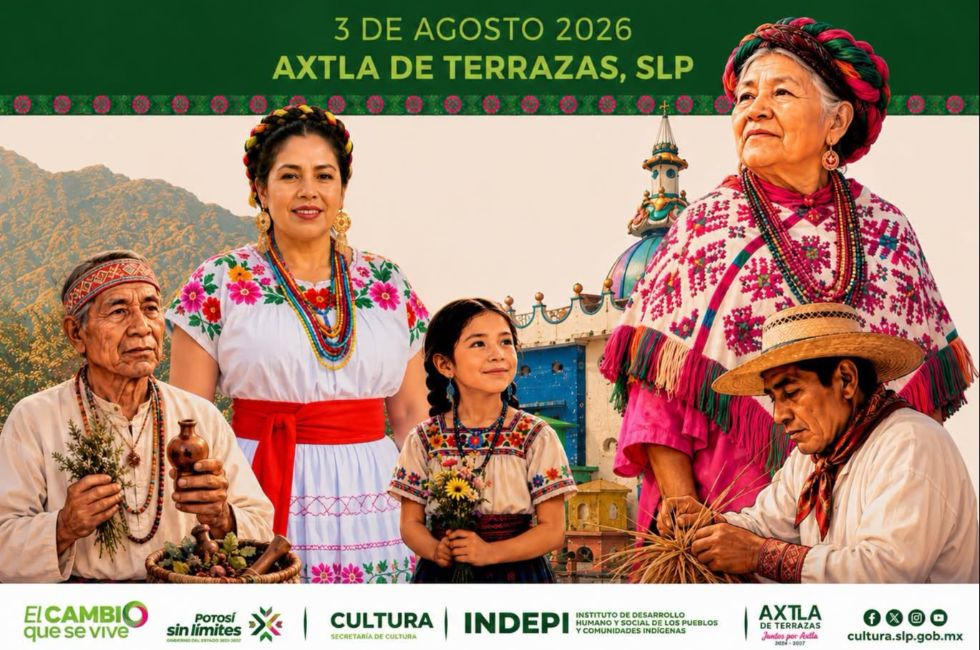 https://d3dac9gdq8t83x.cloudfront.net/media/banner-dipi.jpeg