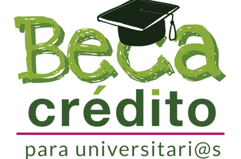 https://d3dac9gdq8t83x.cloudfront.net/media/becas_BSvIiHT.png