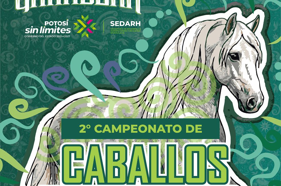 https://d3dac9gdq8t83x.cloudfront.net/media/caballos.jpeg