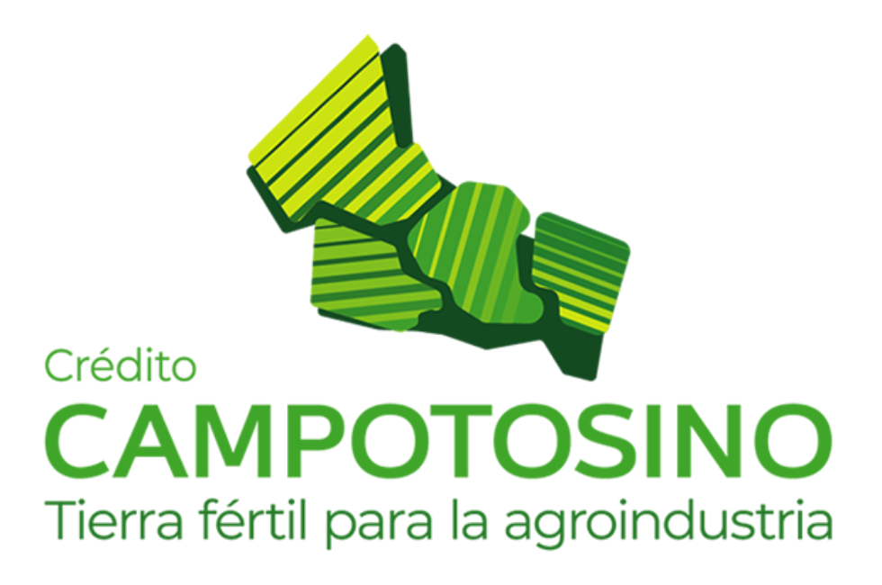 https://d3dac9gdq8t83x.cloudfront.net/media/campotosino.png
