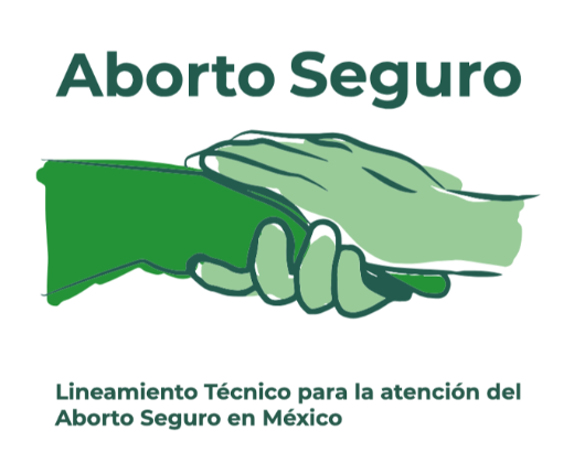 Lineamiento Técnico