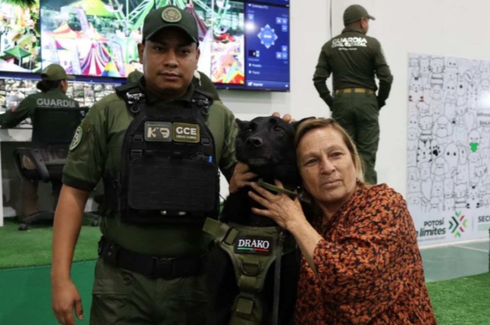 https://d3dac9gdq8t83x.cloudfront.net/media/captura-de-pantalla-2026-08-04-a-las-144502.png