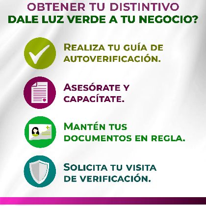 BASES