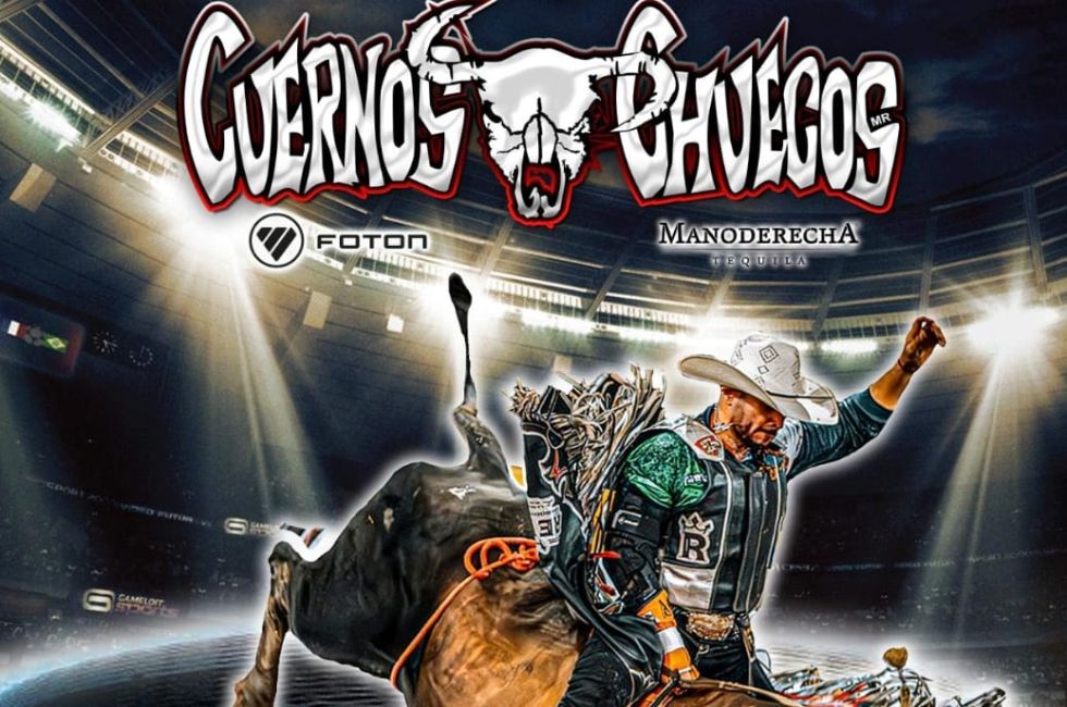 https://d3dac9gdq8t83x.cloudfront.net/media/cuernos-chuecos.jpeg