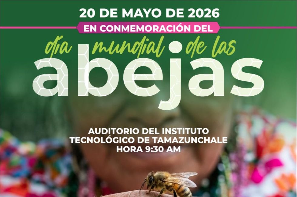 https://d3dac9gdq8t83x.cloudfront.net/media/dia-mundial-abejas.jpeg