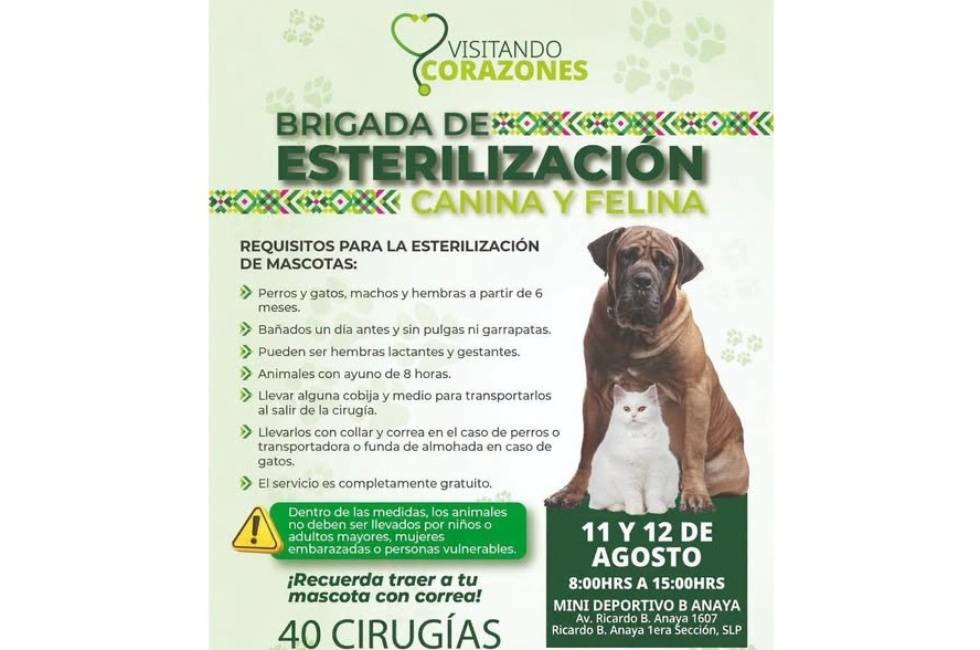 https://d3dac9gdq8t83x.cloudfront.net/media/esterilizacion.png