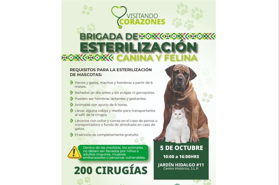 https://d3dac9gdq8t83x.cloudfront.net/media/esterilizacion0510.jpeg
