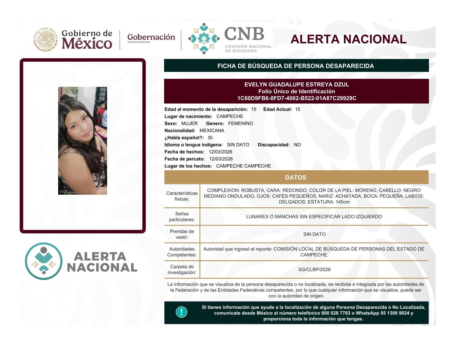 
    
        EVELYN GUADALUPE ESTREYA DZUL
    
    