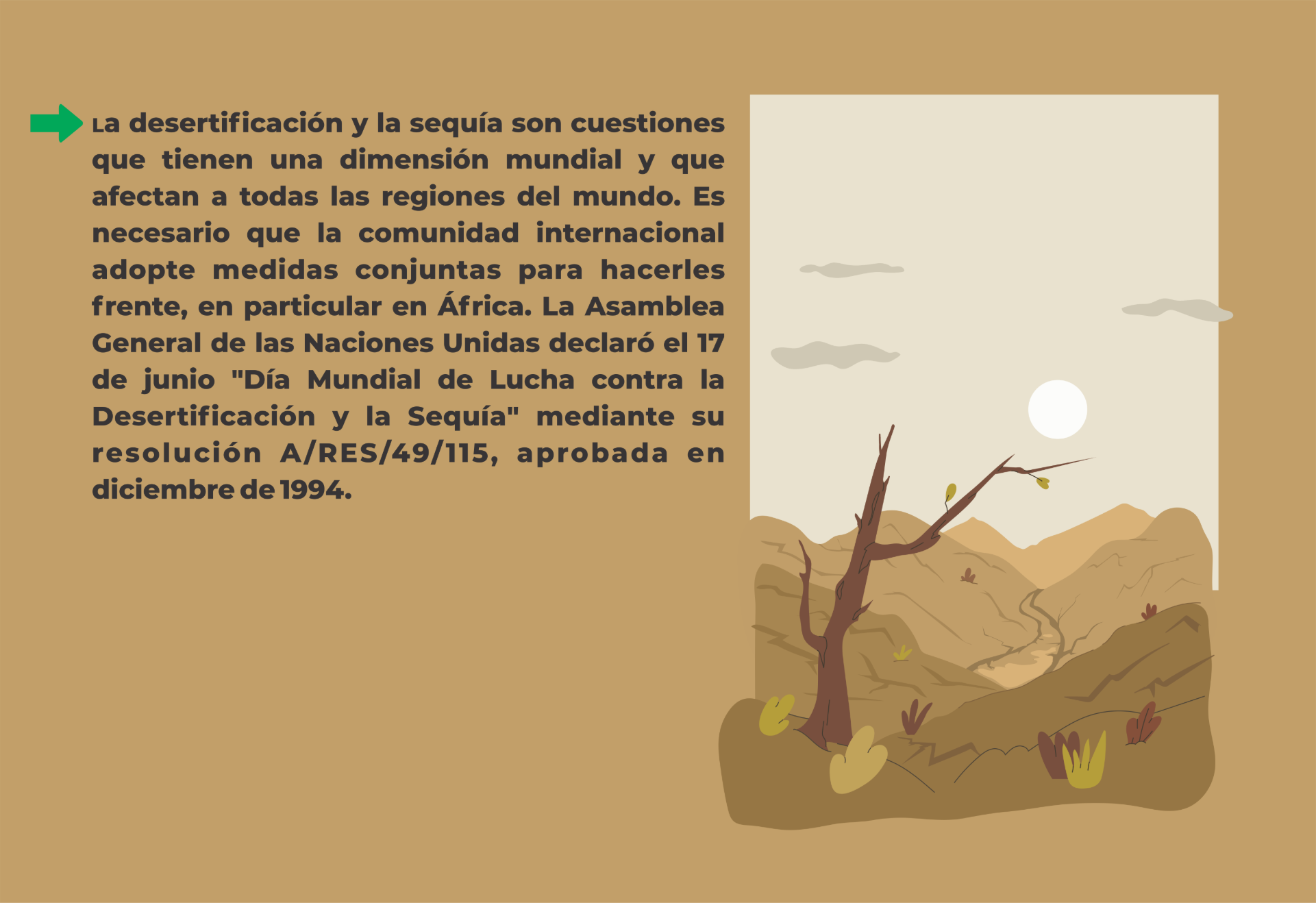 
                         
                            Imagen foto-3_6fkepLH.png
                         
                         
