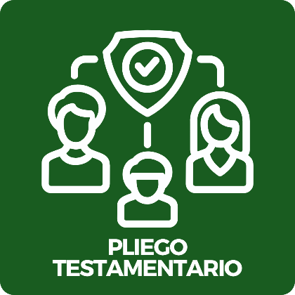 
          
            PLIEGO TESTAMENTARIO
          
        