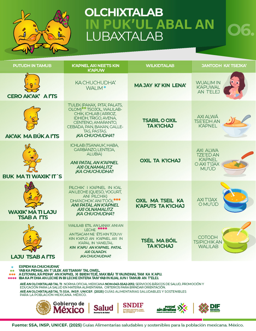 
    
        infografia-esquema-a-c-tenek_mta5xUS.png IMG
    
    