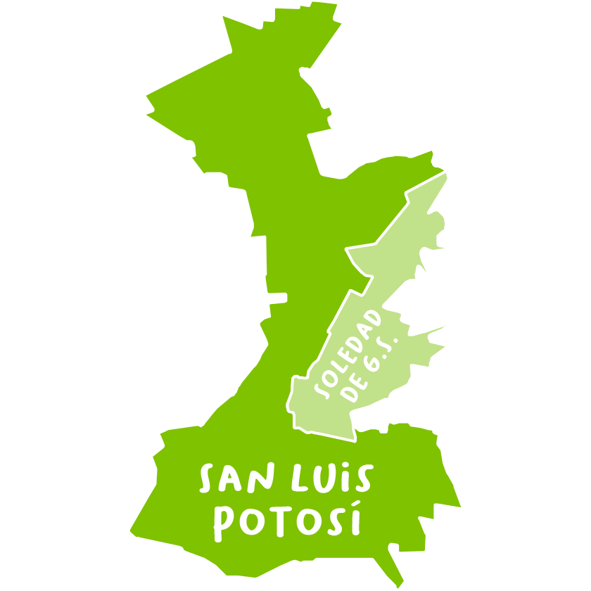 
                    
                        Región Centro
                    
                    