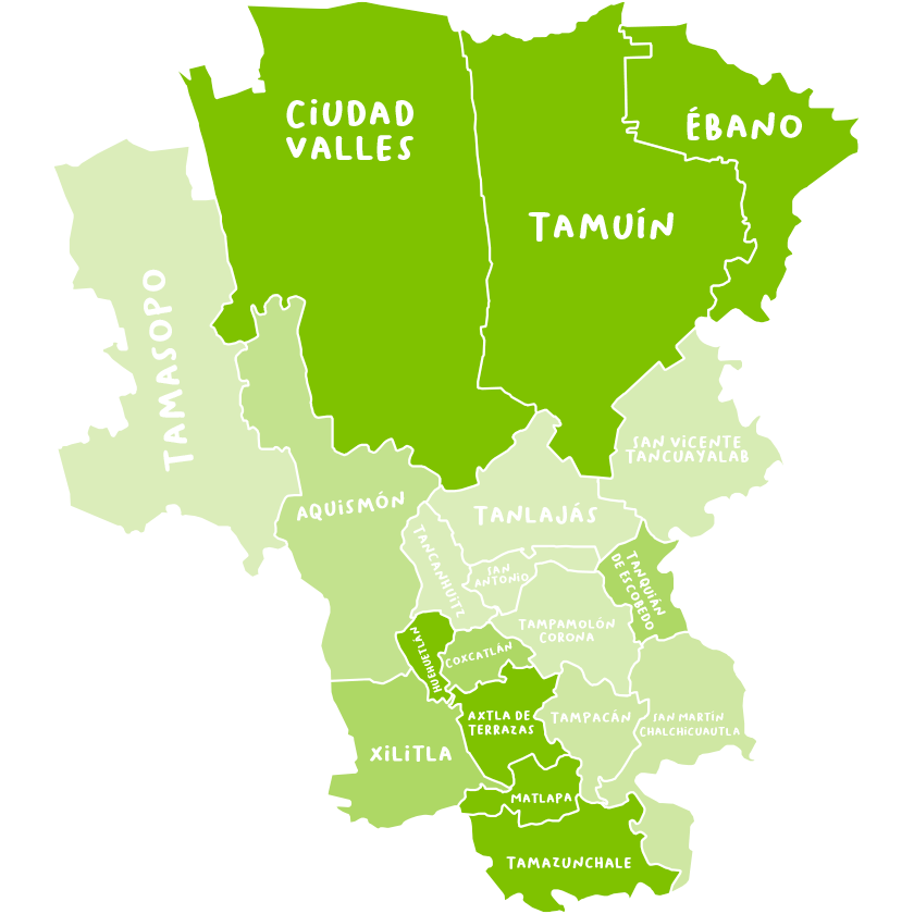
                    
                        Región Huasteca
                    
                    