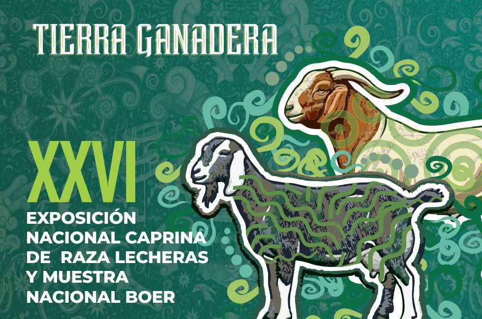 https://d3dac9gdq8t83x.cloudfront.net/media/miniaturas-pagina-eventos-novgrad-capr.jpeg