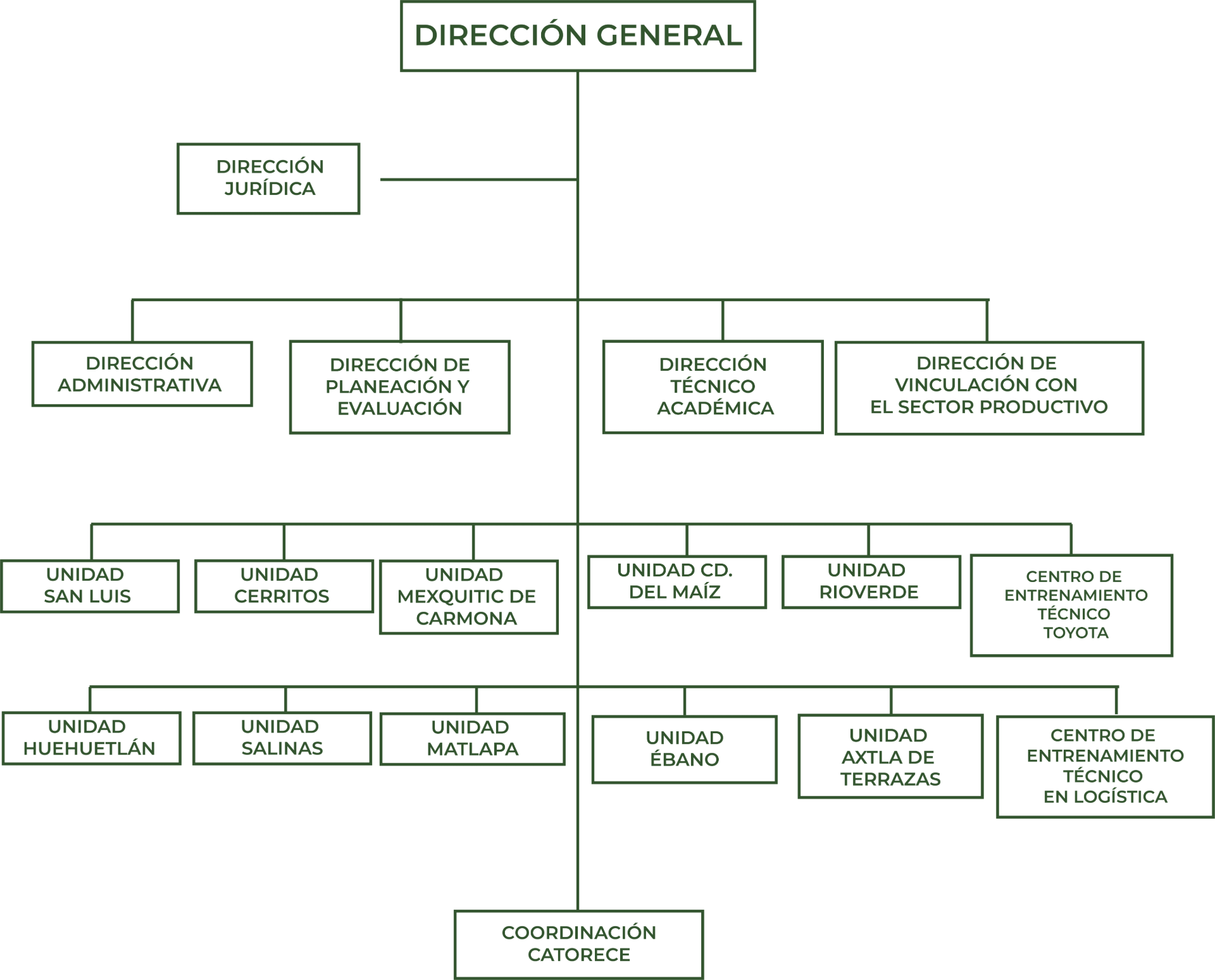 
                         
                            Imagen organigrama-3_pmU0HXG.png
                         
                         