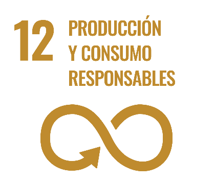 ODS 12