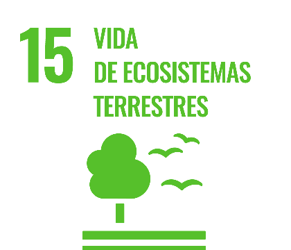 ODS 15