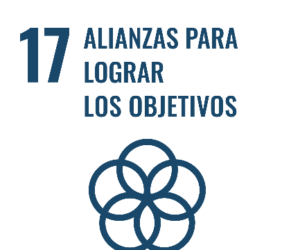 ODS 17