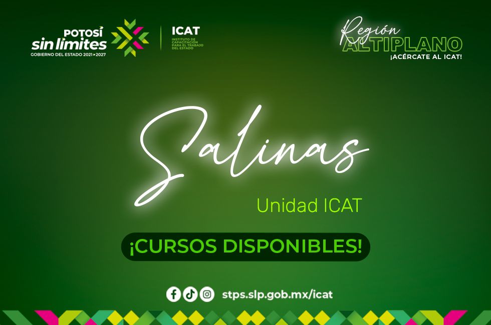 https://d3dac9gdq8t83x.cloudfront.net/media/salinas_XiaB6vr.jpeg