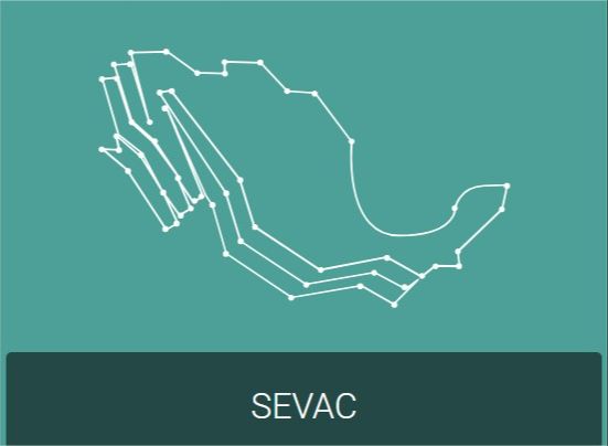 
                         
                            Imagen sevac-google-chrome_2.jpeg
                         
                         