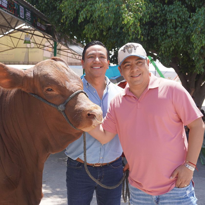Desarrollo del campo