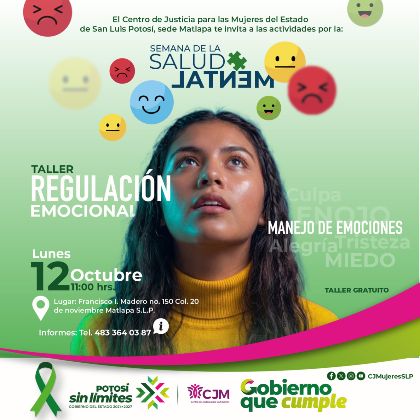 Taller Regulación Emocional 💚