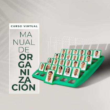 Manual de Organización