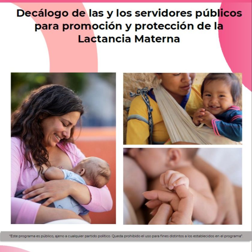 Decálogo de Las y Los Servidores Públicos para la Promoción