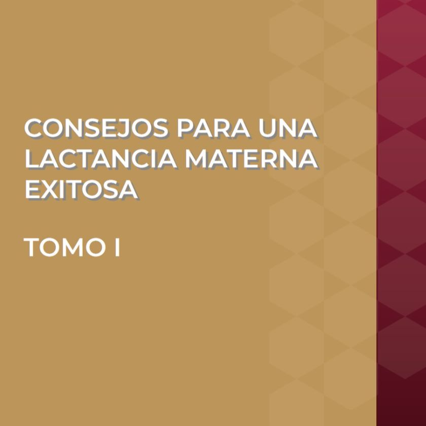 Consejos para una Lactancia Materna Exitosa