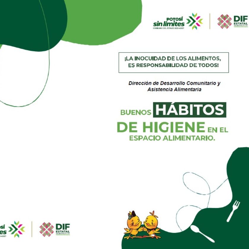 2026 Guía Hábitos Higiene EA