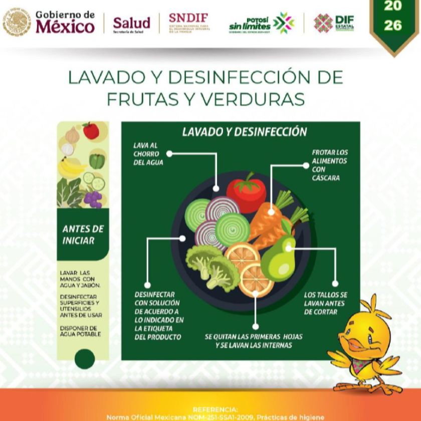 Infografía de Lavado y Desinfección de Verduras y Frutas