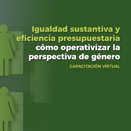 Igualdad sustantiva y eficiencia