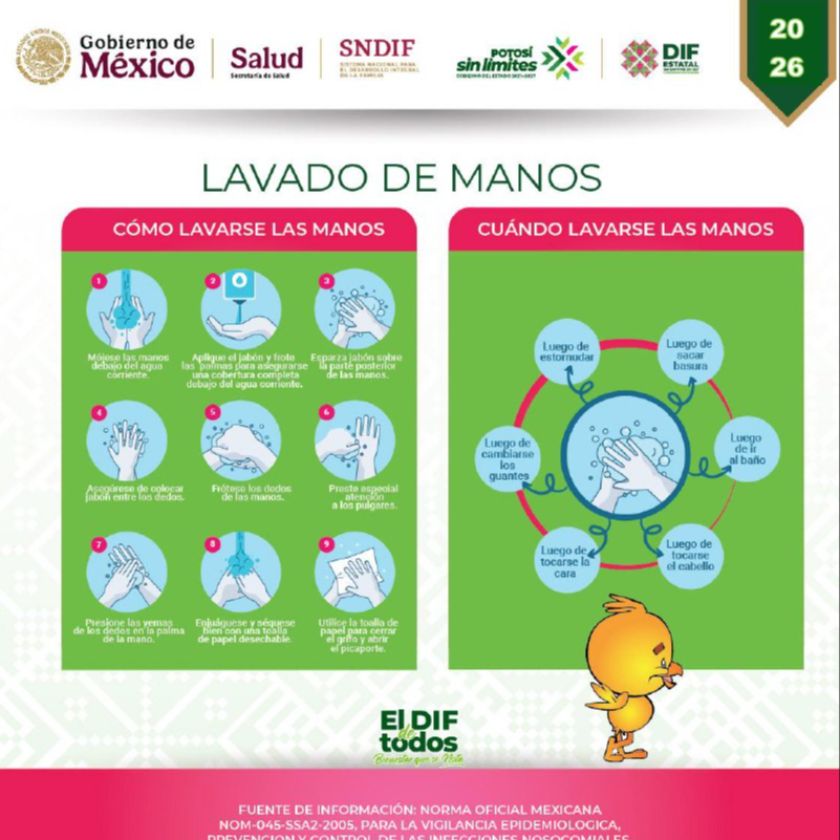 Infografía Lavado de Manos SLP