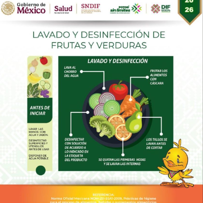 Infografía Desinfección V y F